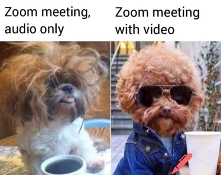 A dog wearing a costume
Description automatically generated